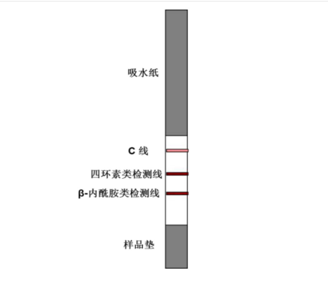 四環(huán)素類+β-內酰胺類抗生素檢測試紙條.jpg