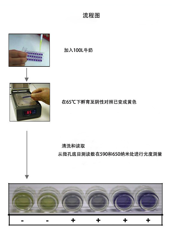 3G test kit-細節(jié)-中副本.jpg