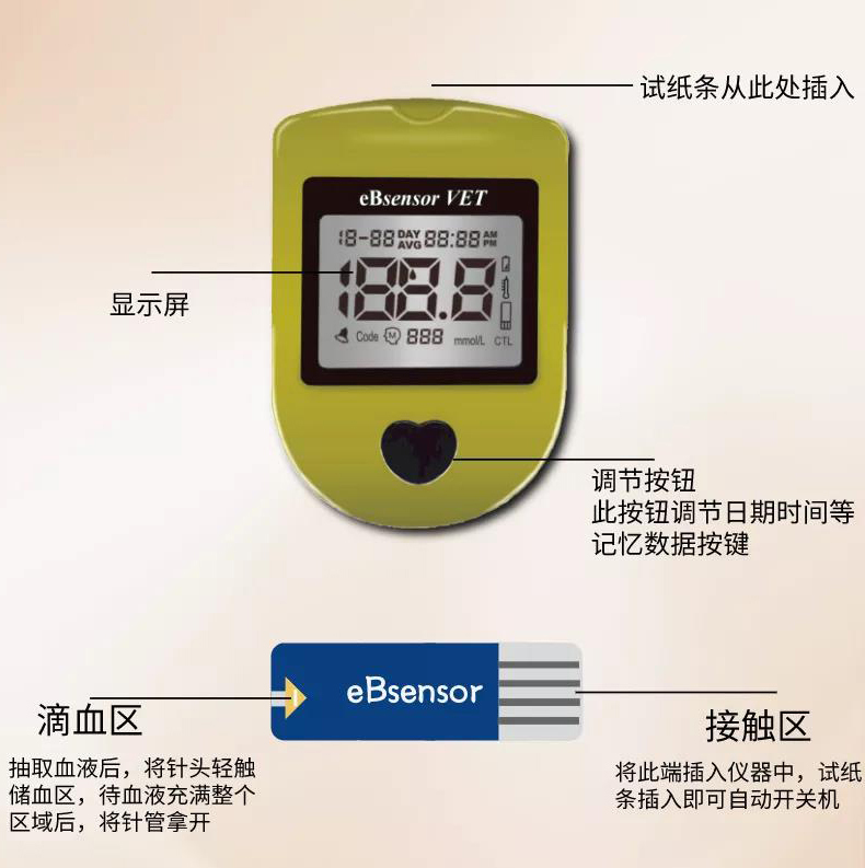 eBsensor-內(nèi)容3.jpg